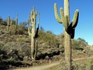 photo thumbnail #13