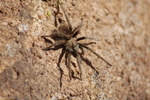 photo thumbnail #8