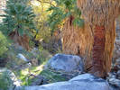 photo thumbnail #10
