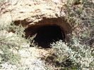 photo thumbnail #1