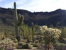 photo thumbnail #13
