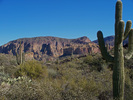 photo thumbnail #3