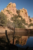 photo thumbnail #8