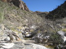 photo thumbnail #5