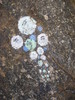 photo thumbnail #12