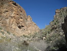 photo thumbnail #14