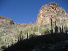 photo thumbnail #15