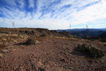 photo thumbnail #8