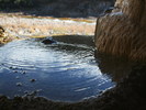 photo thumbnail #15