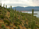 photo thumbnail #5