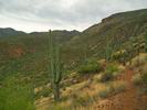photo thumbnail #7