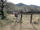 photo thumbnail #4