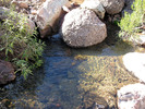 photo thumbnail #15