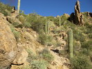photo thumbnail #3