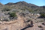 photo thumbnail #3