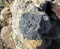 photo thumbnail #2