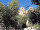 photo thumbnail #11
