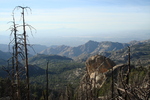 photo thumbnail #2