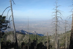 photo thumbnail #3