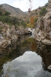 photo thumbnail #6