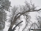 photo thumbnail #11