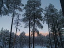 photo thumbnail #14