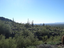 photo thumbnail #7