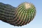 photo thumbnail #12