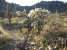 photo thumbnail #6