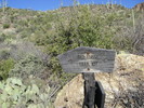 photo thumbnail #11