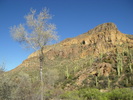 photo thumbnail #12