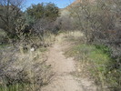 photo thumbnail #14