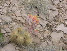 photo thumbnail #6