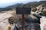 photo thumbnail #7