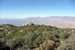 photo thumbnail #8