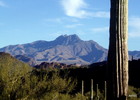 photo thumbnail #12