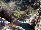 photo thumbnail #4