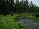photo thumbnail #1