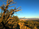 photo thumbnail #8