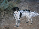 photo thumbnail #5