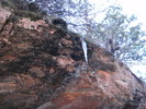 recent photo