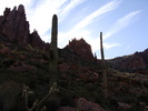 photo thumbnail #7