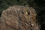 photo thumbnail #10