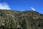 photo thumbnail #11