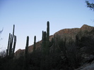photo thumbnail #6