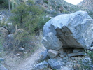 photo thumbnail #8