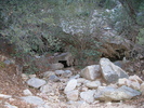 photo thumbnail #14