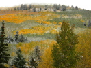 photo thumbnail #10