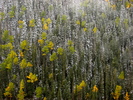 photo thumbnail #14