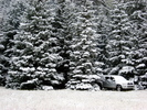 photo thumbnail #15